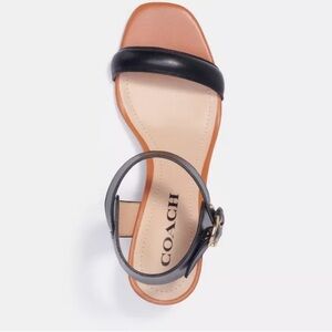 Coach Women's Sandals in Black and Tan